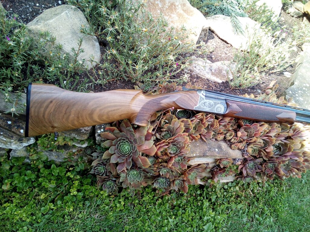 Broková kozlice Kettner